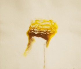 Arik Levy - Encapsulated Yellow citrus and Sepia - #ALJS26