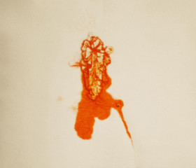 Arik Levy – Encapsulated Orange – #ALO27