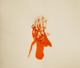 Arik Levy – Encapsulated Orange – #ALO67